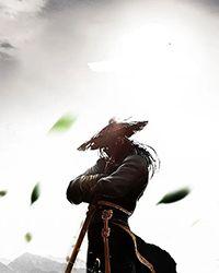 血蓑衣结局