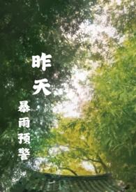 昨天暴雨预警密码本txt