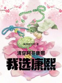 清穿阿哥康熙我选康熙的评语100字