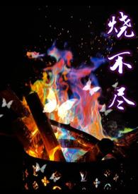 烧不尽回南雀