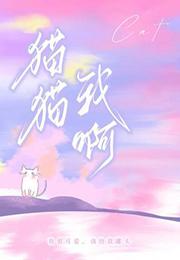 猫猫我啊嘴硬心软大结局