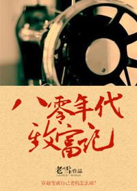 重生八十年代致富经