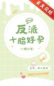 反派十胎好孕番外免费阅读最新章节列表