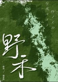 伪兄妹文1v2