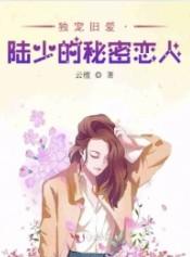 独宠旧爱陆少的秘密恋人 番外