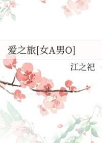 爱之旅程 (网王)