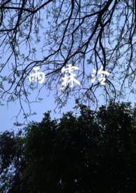 雨霖婞番外