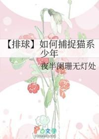 排球少年猫猫图片
