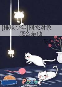 排球少年cp排行榜