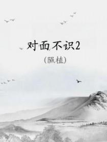 对面不识的古诗