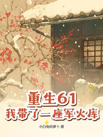 带着军火重生六零