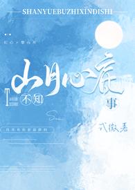 山月不知心底事原著