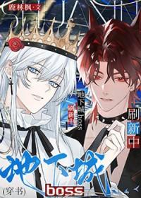 地下城副本boss攻略