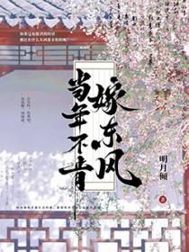 当年不肯嫁东风txt