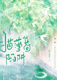 猫薄荷陷阱txt免费