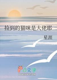 捡到猫后我成了村里首富[穿越