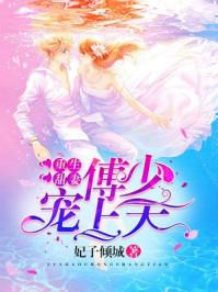 重生甜妻傅少宠上天po