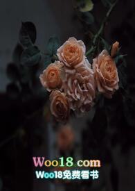 壁垒读音是什么意思