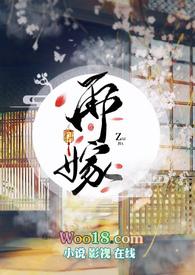 再嫁 十夜灯全文阅读