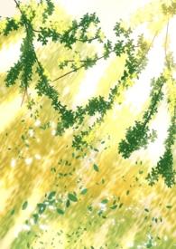 但第三者by花式笔趣阁