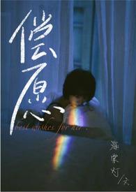 偿愿第1章