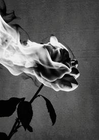 扶摇中非烟是谁