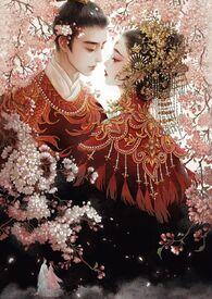 帝姬全文免费阅读