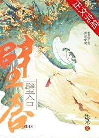 璧合的成语