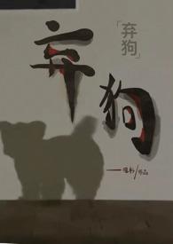 弃犬在线阅读