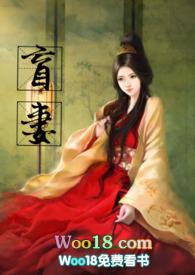 盲妻(高HNP)小