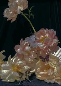 午夜时分是几点到几点