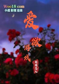爱欲游戏体验