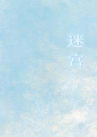 迷宫计
