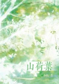 山荷叶花怎么画