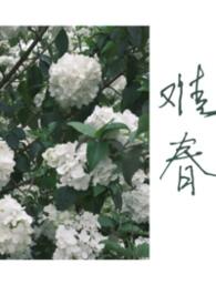 难春兄妹骨科百度TXT