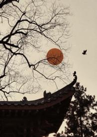 雀儿药粥by在线阅读