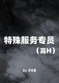 特殊服务的工作