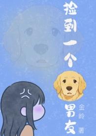 捡了一个狗怎么办