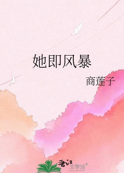 她是风暴中心全文番外免费阅读