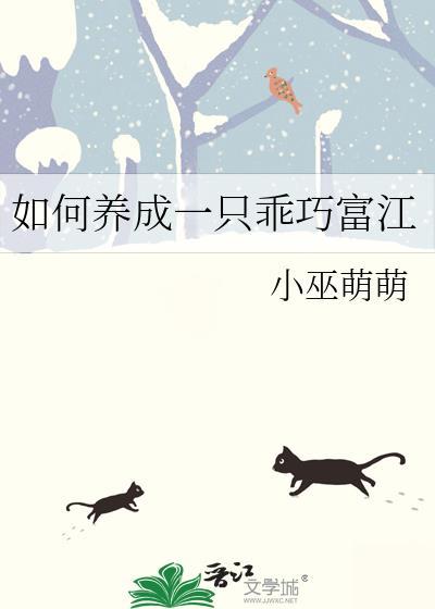 如何培养一只乖巧的猫咪