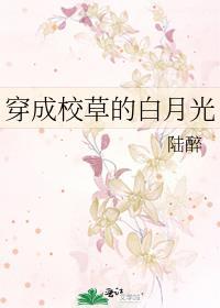 穿成校草的白月光免费阅读