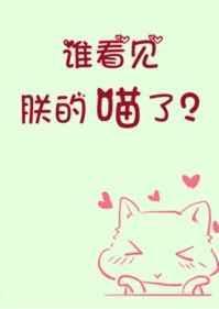 谁看见朕的喵了