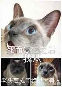 死而复生之后我从老头变成绝世美少年