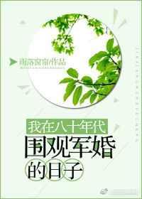 我在八十年代围观军婚的日子TXT