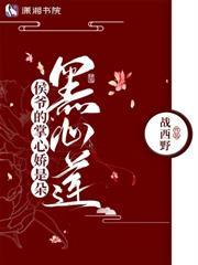 贵妃里的