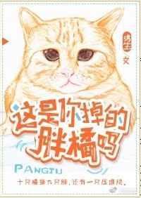 这是你掉的胖橘吗 百度