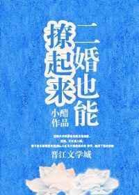 二婚也能撩起来的男人