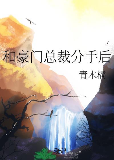 和豪门总裁分手后gl晋江