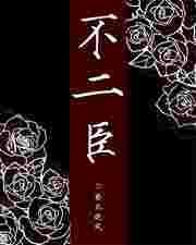 不二臣是什么意思