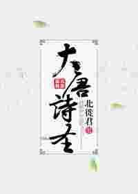 大唐诗圣富大龙